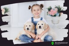 Are dogs safe for a house with a child?