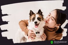 How to Protect Yourself from Scams While Purchasing a Dog Online